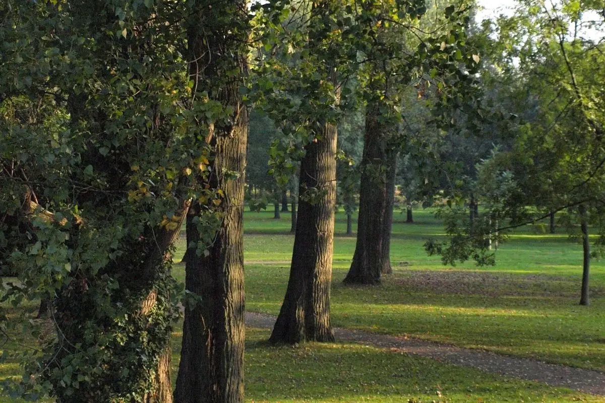 3 idee divertenti per stare all’aperto quando ti annoi