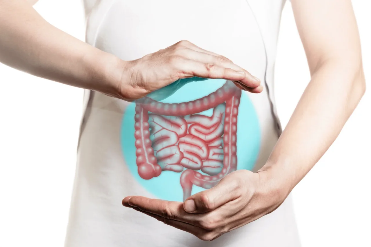 Intestino: ecco come gestirlo per una salute ottimale