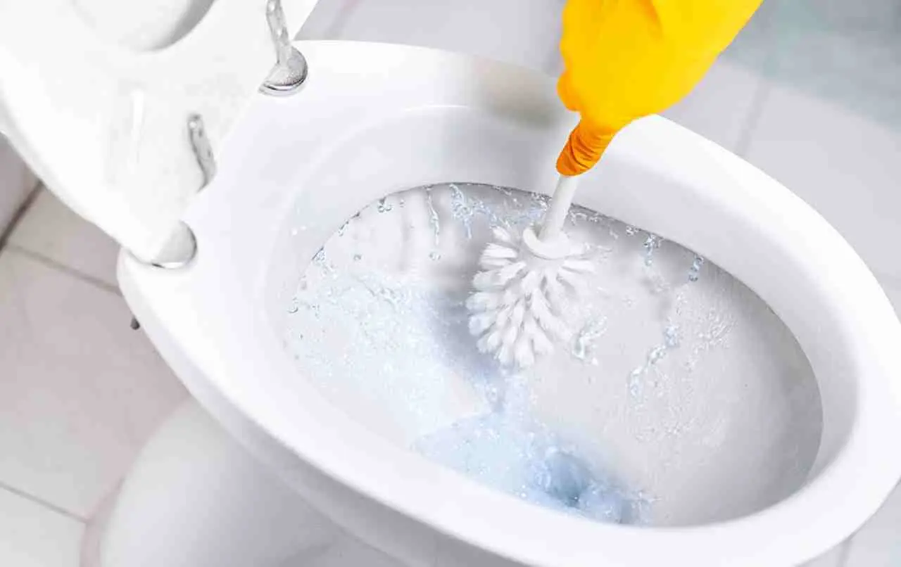 Come avere un WC brillante: i consigli che cambieranno la tua routine di pulizia