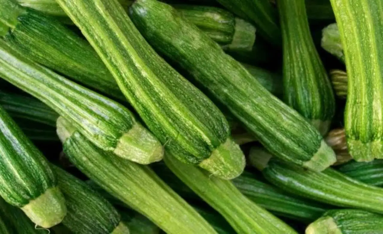 Vuoi un orto ricco di zucchine: ecco il trucco sul numero di piante per metro quadrato