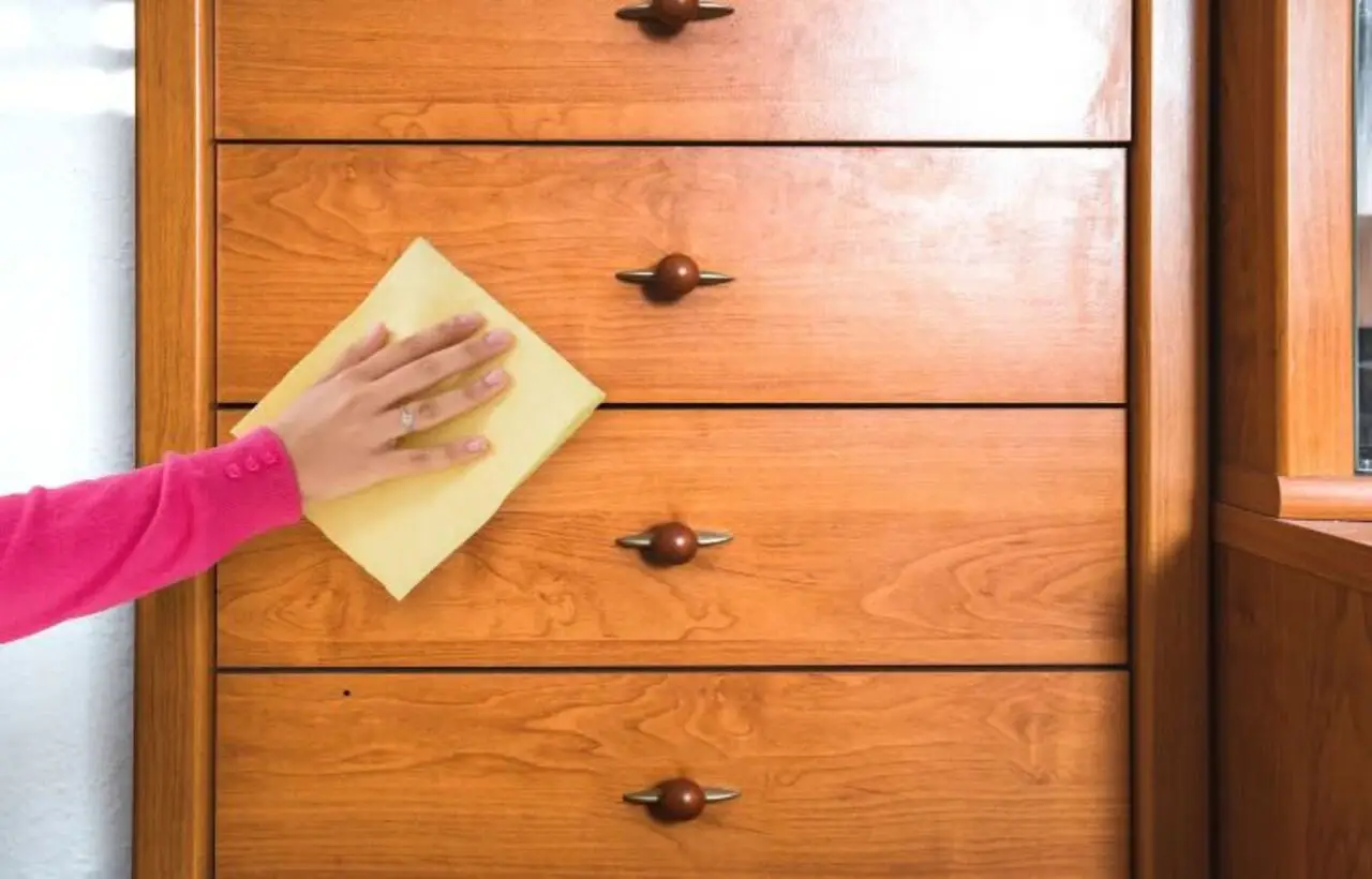 È il miglior ravvivante naturale per mobili in legno: facile da applicare e il suo effetto lucido è immediato