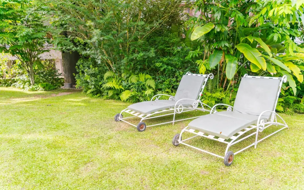 Acqua e zucchero per le piante: perché questo trucco sta rivoluzionando i giardini di casa?