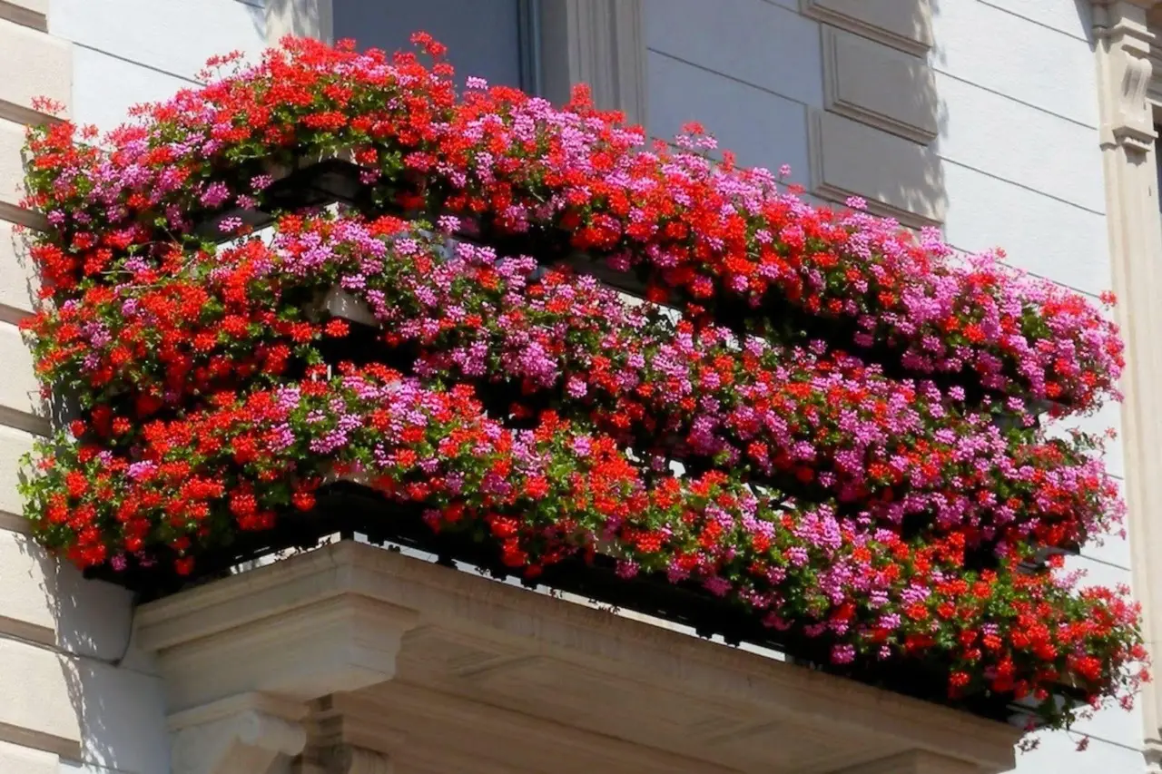 Come schermare un balcone dal vento: il metodo pratico per arredatori e terrazzi fioriti