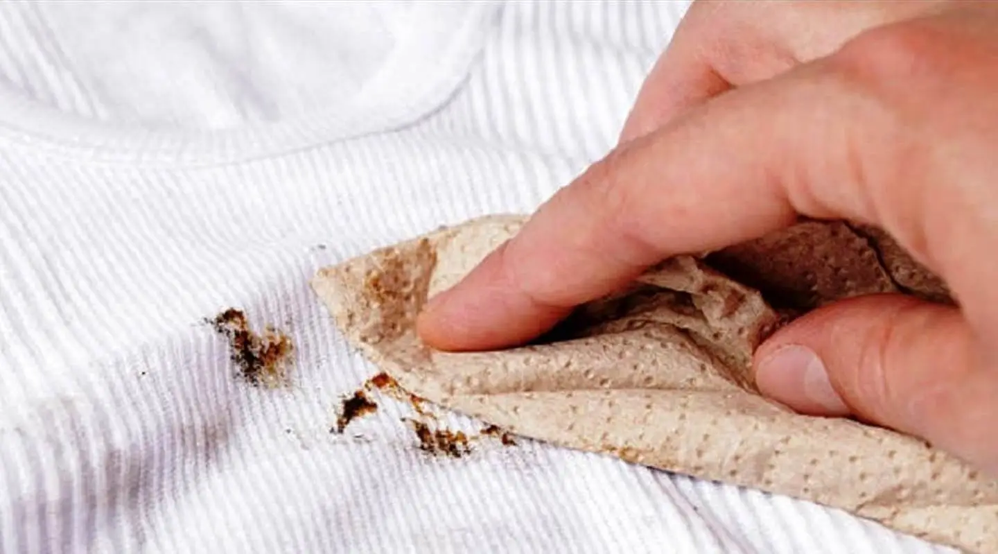 Sporco ostinato sui vestiti? Ecco lo smacchiatore naturale potentissimo che hai già in casa