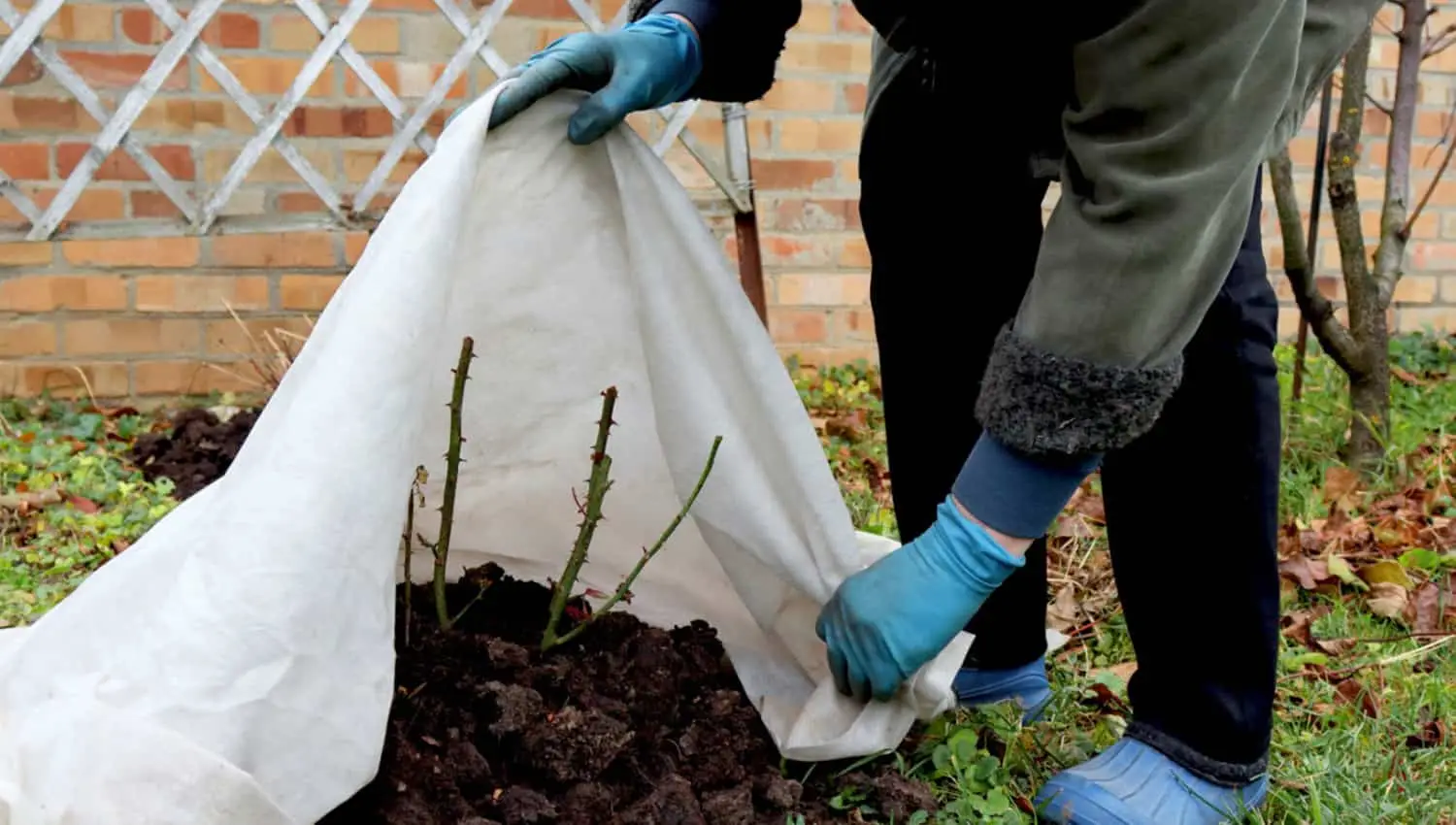 Non solo in giardino: ecco gli usi sorprendenti del tessuto non tessuto in casa