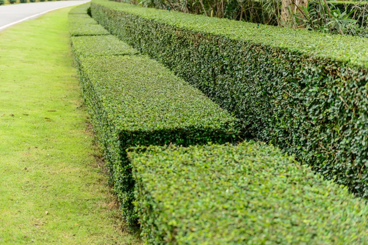 Muro del giardino anonimo o rovinato? Ecco le idee veloci per trasformarlo spendendo poco