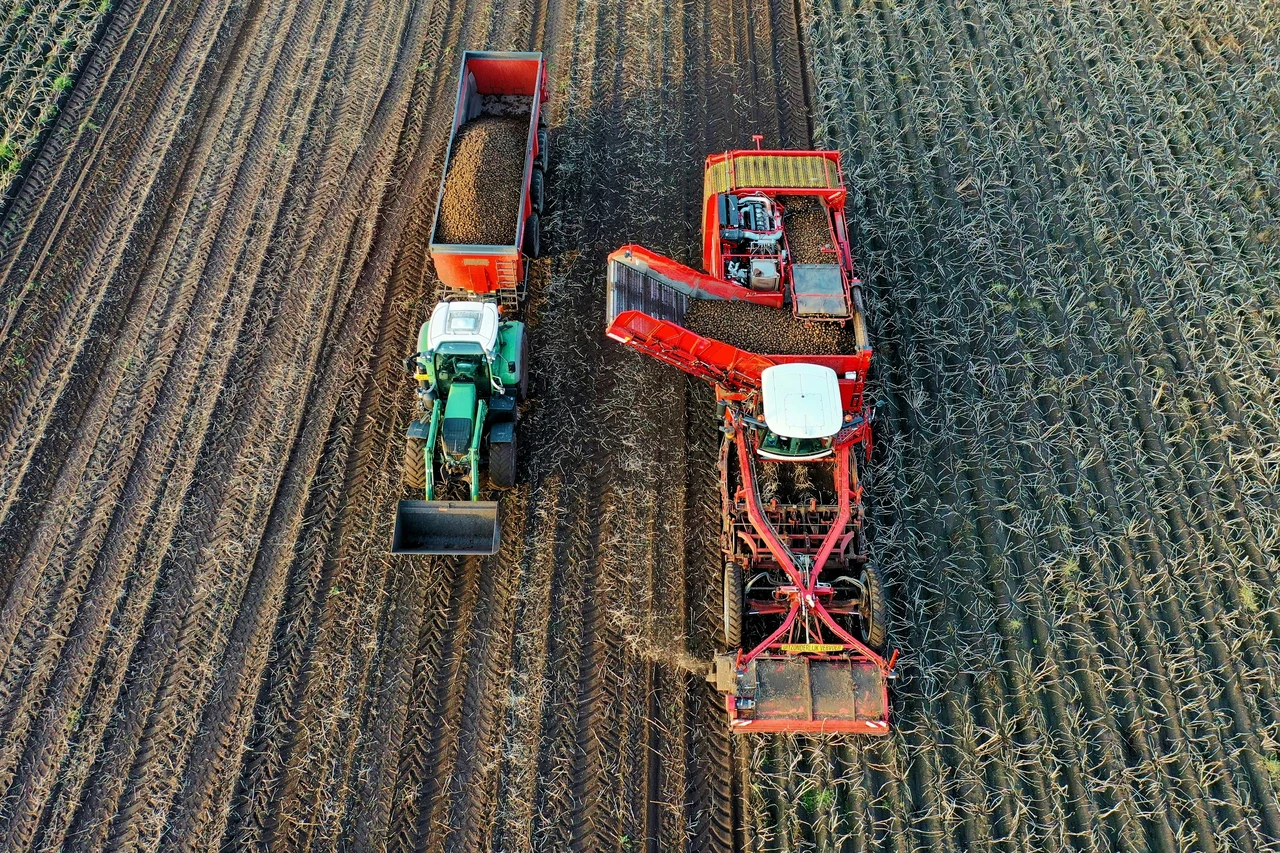 Nuove tecniche agricole del 2025: il cambiamento drastico che aumenterà i raccolti del 50%