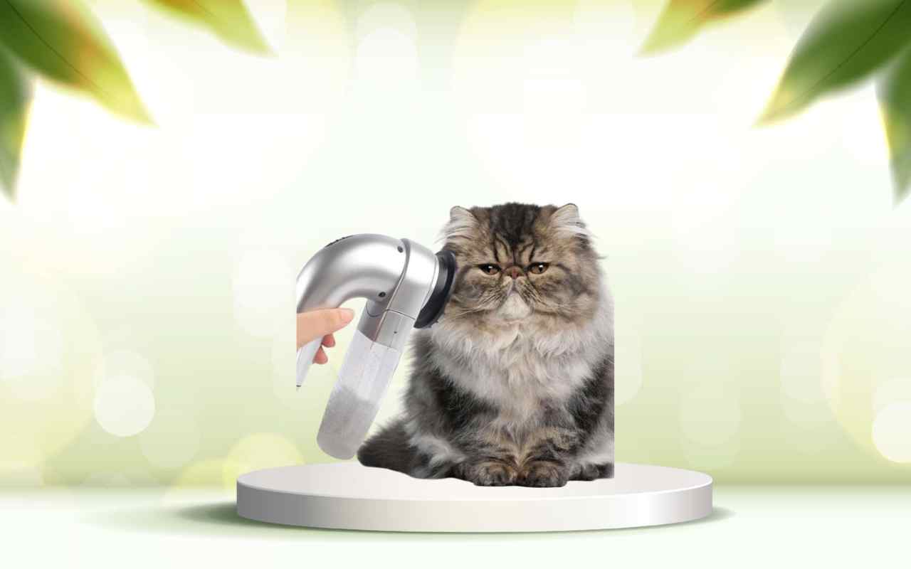 Dì addio ai peli in casa: scopri SpazzolAmica per animali felici e ambienti puliti